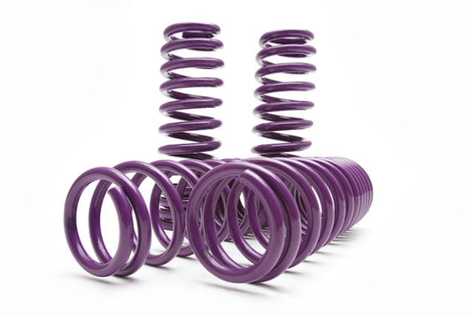 D2 Racing Springs - BMW - D-SP-BM-31