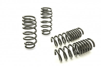 Eibach PRO-Kit Springs - Dodge Charger (15-22)